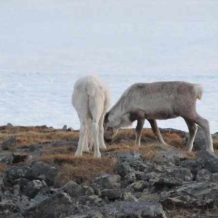 Nordkapp